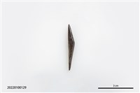 藏品(魚卡子)的圖片